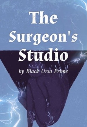 The Surgeon's Studio The Surgeon's Studio